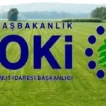 TOKİ Arsa Başvurusu