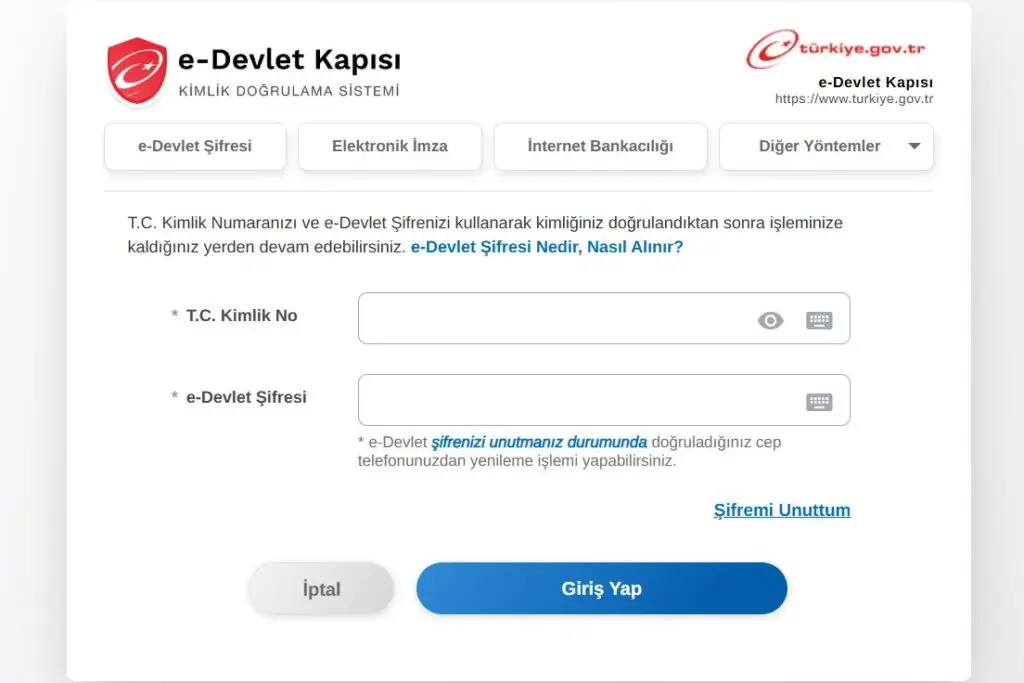 E Devlet Giriş